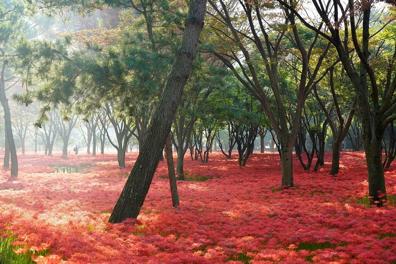 Celestial Botanical Sanctuary